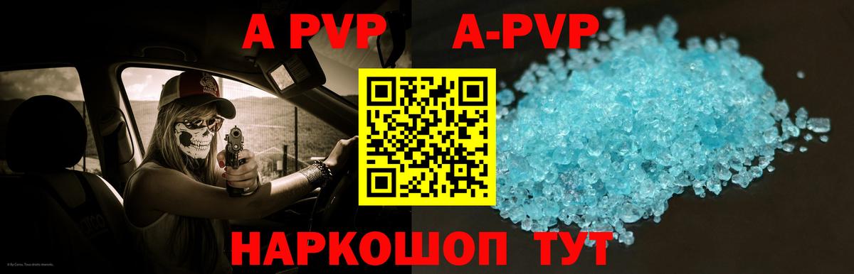 A PVP СК Луга