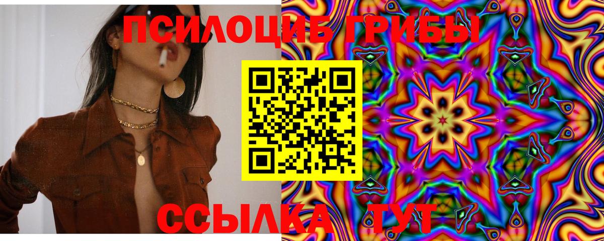 Псилоцибиновые грибы Psilocybe Луга
